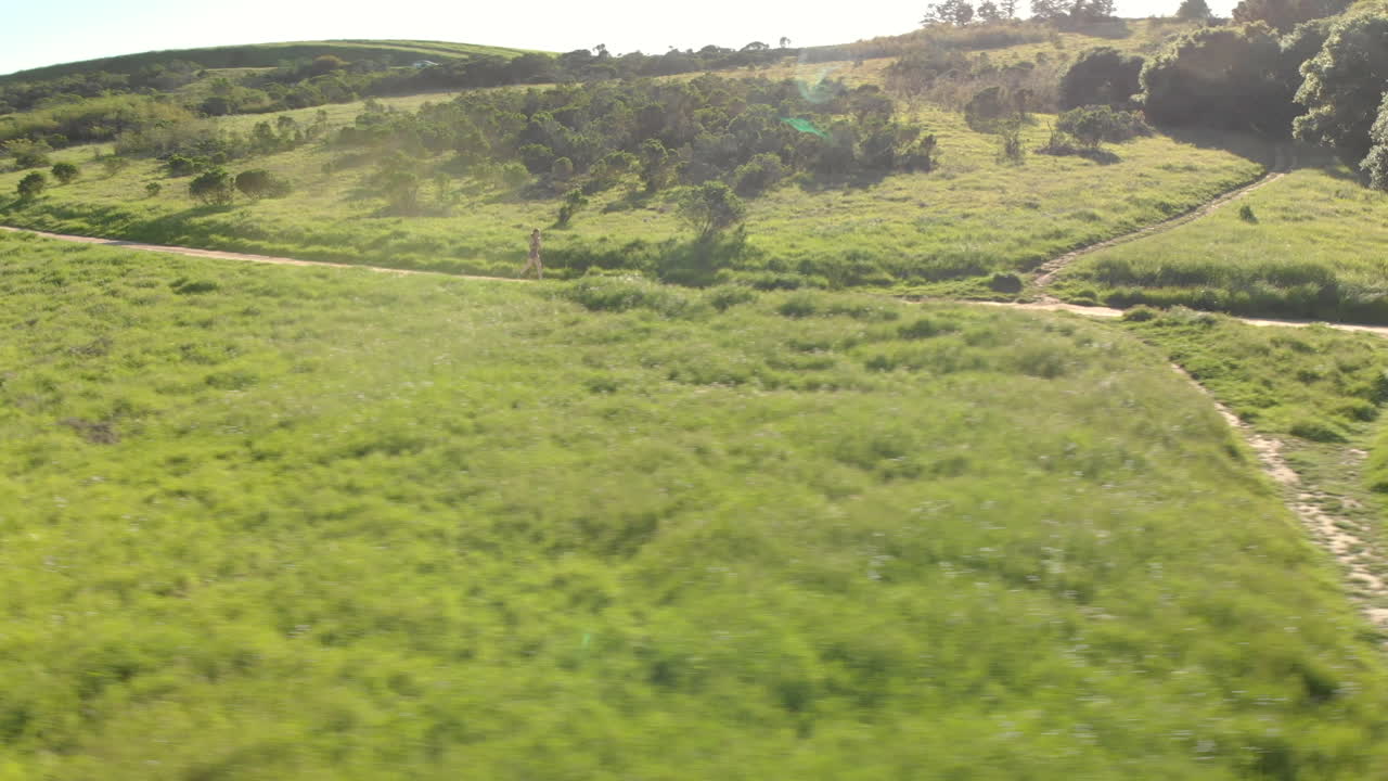 석양에 숲길을 달리는 젊은 여성의 공중