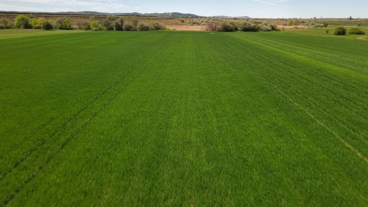 An expansive aerial view of vibrant green agricultural fields stretching toward a distant treeline under a clear, bright sky.