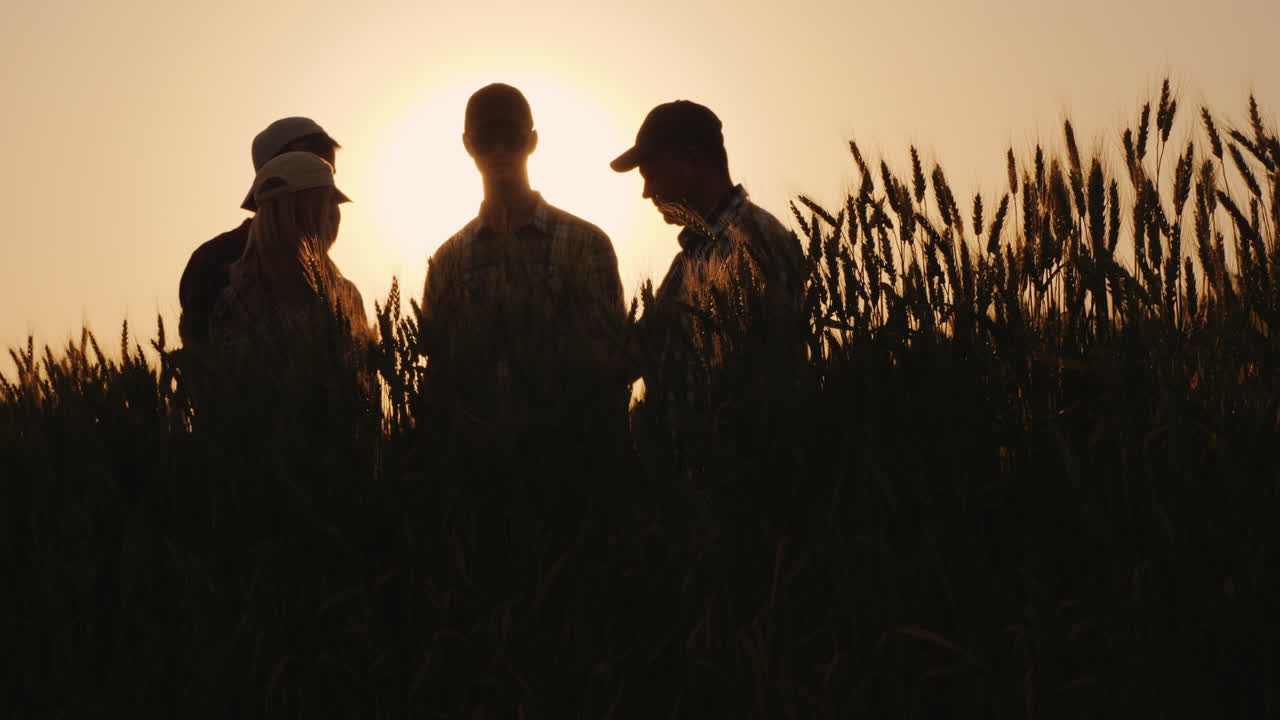 한 무리의 성공한 젊은이들이 함께 손을 잡고 그들은 성공적인 팀을