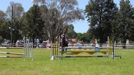 caballo y jinete navegando en un curso de salto de espectáculo