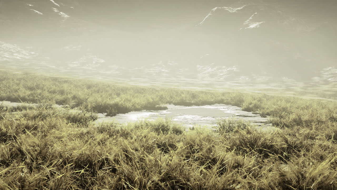 Misty landscape with a small pond surrounded by tall grass at dawn