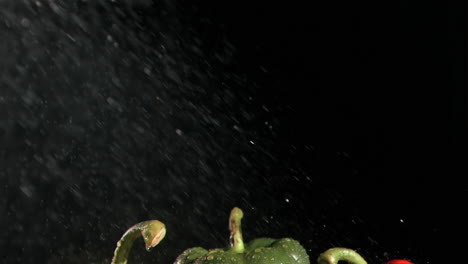 drops in super slow motion falling on peppers