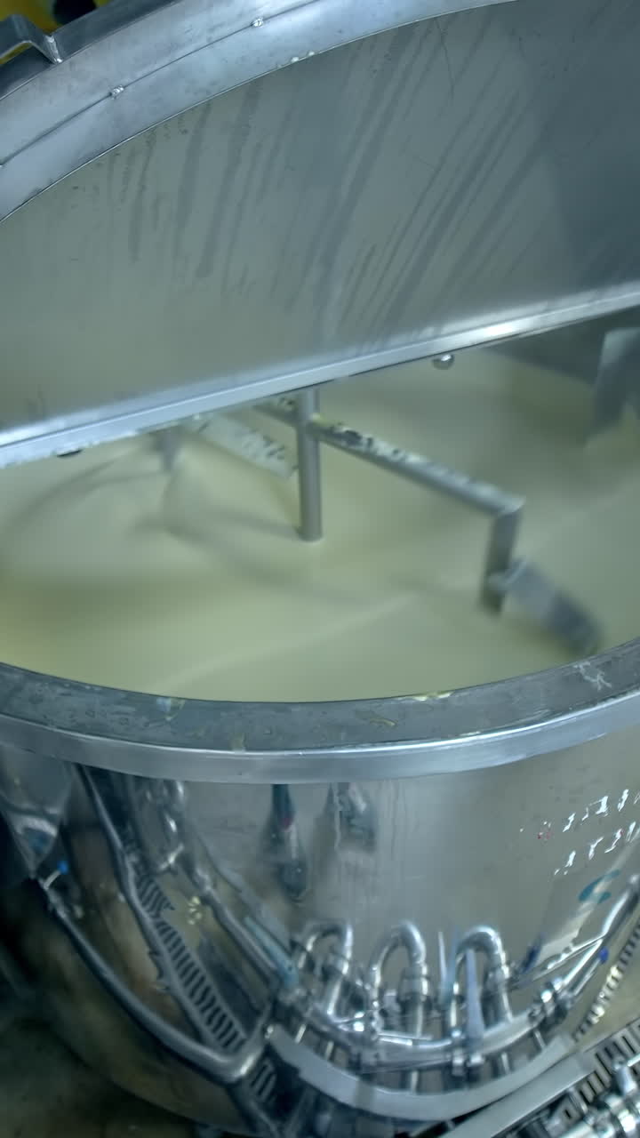 Producing dairy cheesemaking industry. Big factory for making cheese. Vertical video