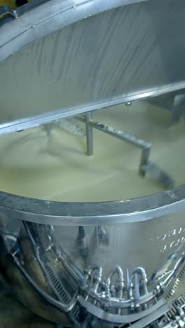 producing dairy cheesemaking industry. big factory for making cheese. vertical video