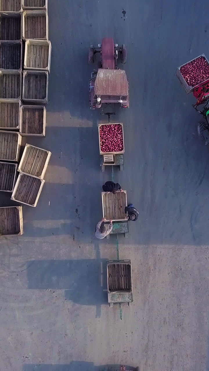 warehouse workers are preparing an empty crate for apples. Loader is relocating pallet with apples in the territory of warehouse for further transportation to the plant for the production of juice. Aerial view Vertical video