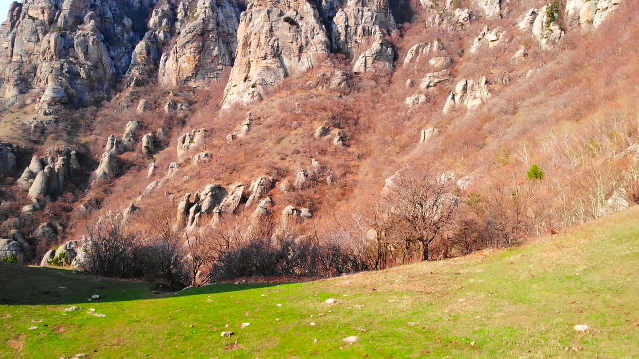 горный ландшафт с камнями и деревьями