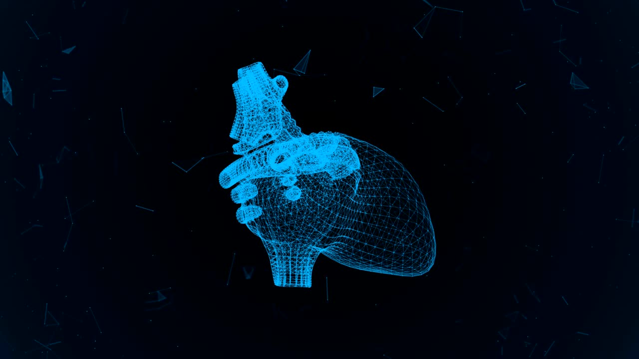 el corazón humano en forma de partículas y plexo.