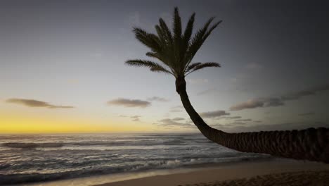 a tranquil scene of a curved palm tree silhouetted against the golden hues of a sunset over the ocean on a serene oahu beach