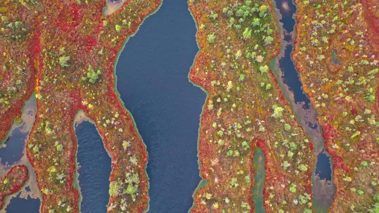 Exploring the vibrant swamps of Kemeri in Latvia from above