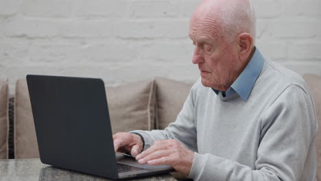 Senior man using laptop