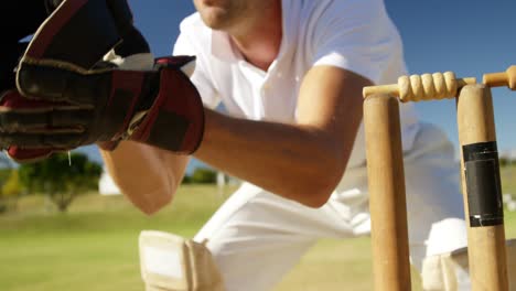 Portero-Recogiendo-Bolas-De-Cricket-Detrás-De-Tocones-En-El-Campo-De-Cricket