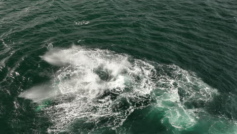 la ballena jorobada con cola lenta es una fotografía aérea fantástica de islandia.