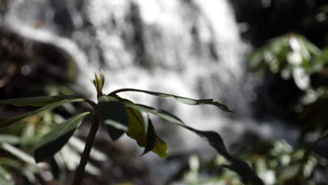 Medium-Slow-Motion-shot-of-Mountain-Waterfall-shot-at-180-frames-per-second