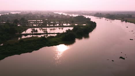 flying environment plants the greenery forest and riverside at sunset time