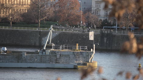 bandada de gaviotas pájaros vuelan erráticamente sobre el río, praga república checa