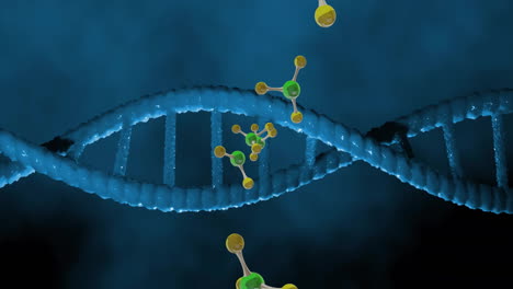 animation von molekülen, die sich über den dna-strang drehen