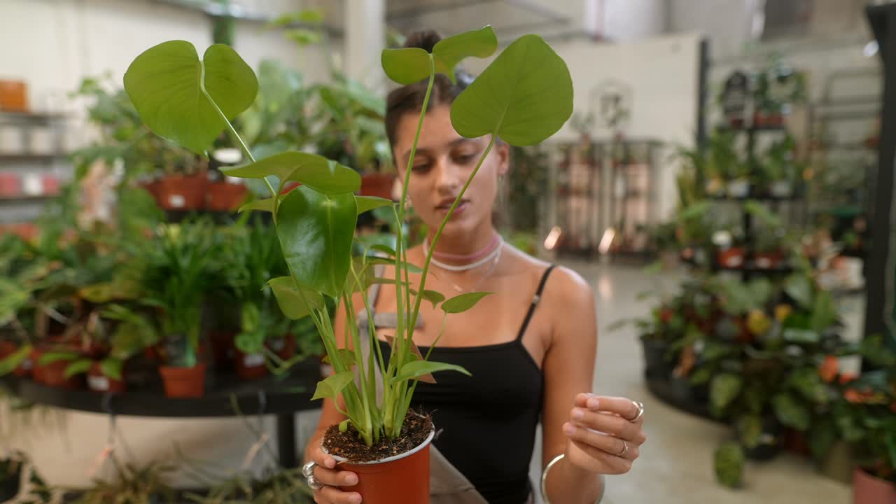 Woman holding monstera plant