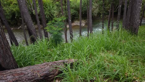 Vista-A-Distancia-Del-Hermoso-Río-Manya-En-Papua-Nueva-Guinea