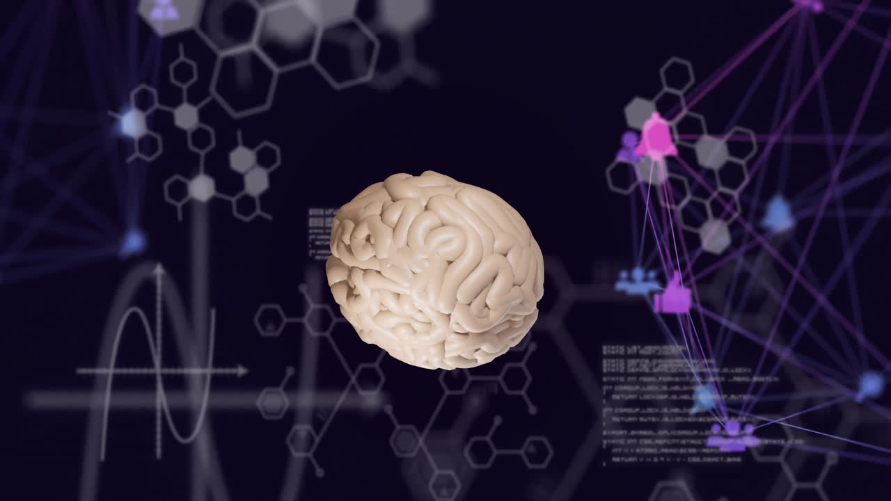 Animation of network of connections over brain and data processing