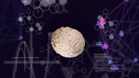 animation of network of connections over brain and data processing