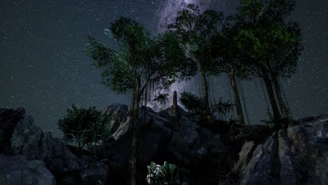 4K-hyperlapse-star-trails-over-sandstone-canyon-walls-and-trees