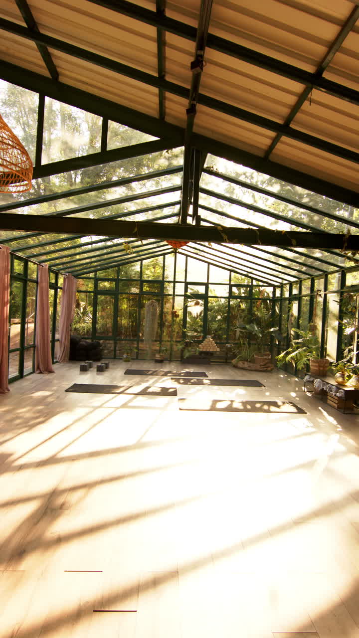 Vertical video: Yoga mats arranged in glass house for serene yoga practice session