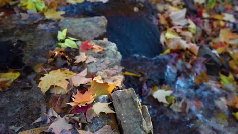 Wasser-Läuft-Im-Herbst-An-Blättern-Im-Wald-Vorbei