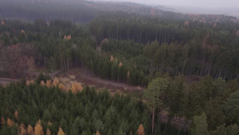drone flight over a colorful moody autumn landscape on a foggy and cold morning