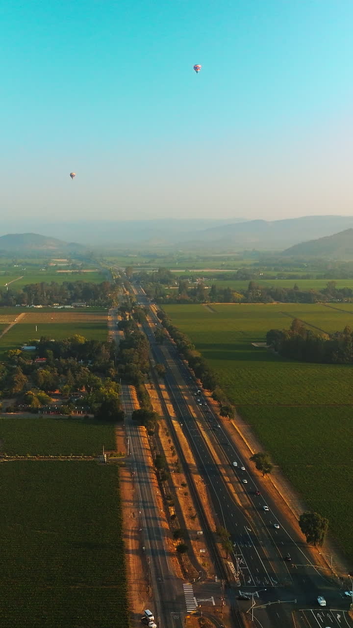 Stunning beautiful green valley with some vineyards. Hot air balloons in blue sky over the land. Hazy mountains at backdrop. Vertical video