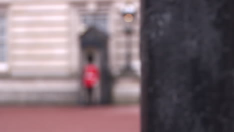 guardia en el palacio de buckingham