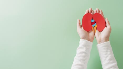 video of hands holding kidneys on green background with copy space