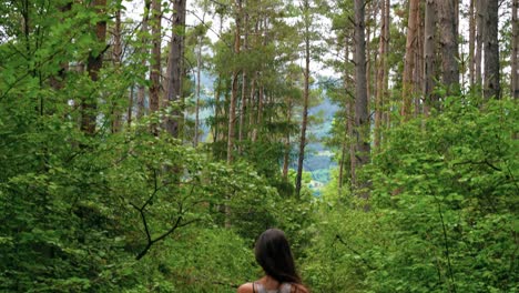 tilting down from the bright cloudy sky and treetops to a woman walking down a green, grassy forest path under a fallen tree branch