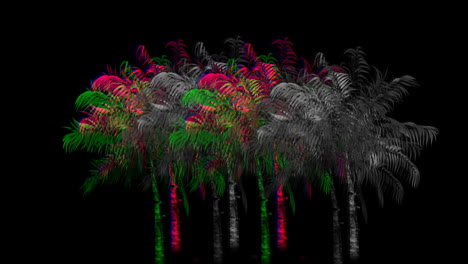 palmeras coloridas y monocromáticas 4k