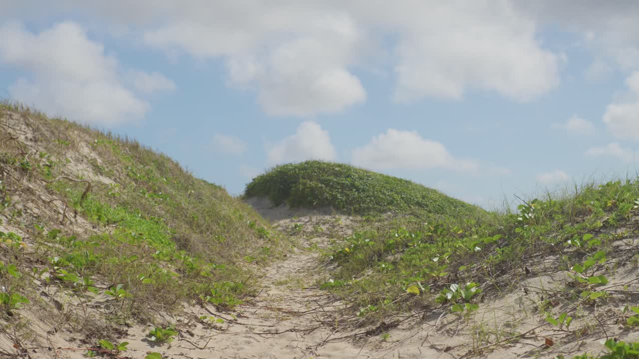 camino entre dunas de arena con vegetación verde en una playa en peró, cabo frio, río de janeiro, brasil