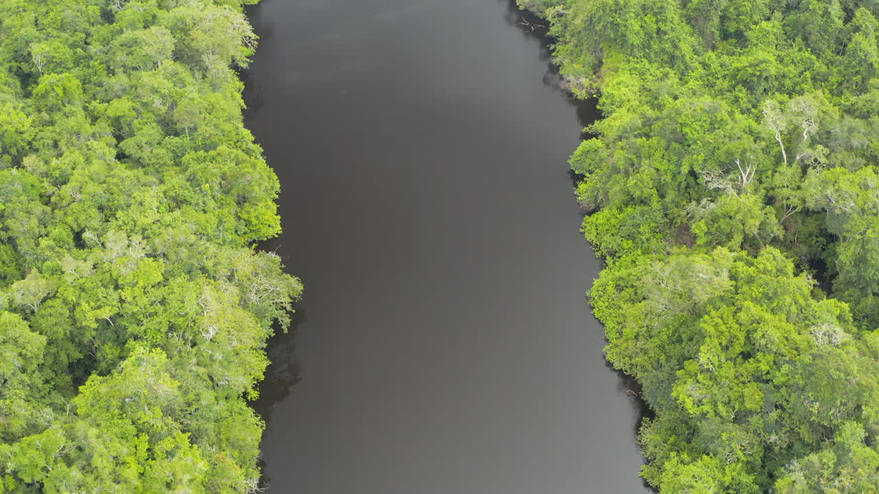 가이아나의 정글을 흐르는 잔잔한 강이 내려다보이는 아름다운 조감도