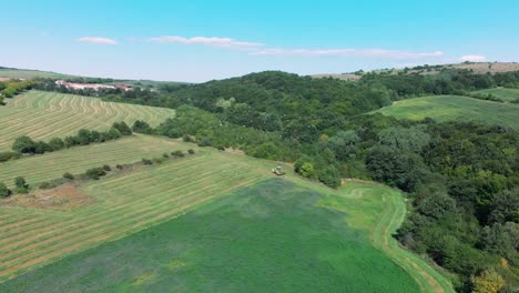 Toma-Panorámica-Aérea-De-La-Cortadora-De-Césped-Y-El-Vuelo-De-Las-Cigüeñas-Se-Alimentan-En-El-Campo-De-Hierba-1