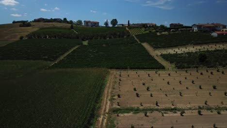 Campos-De-Cultivo-Desde-Drone