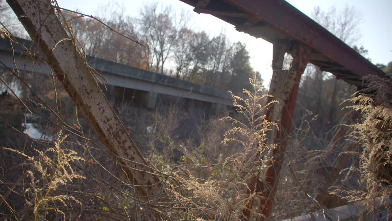 Bridge Overlook with Plants