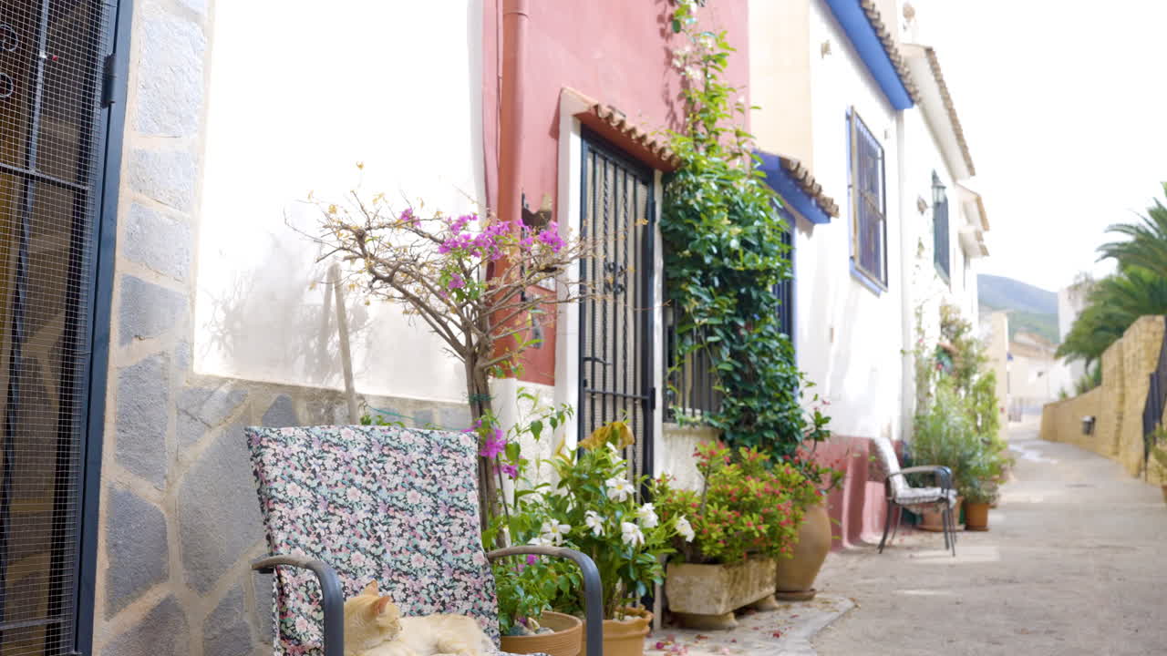 Picturesque Spanish Alleyway with Cat