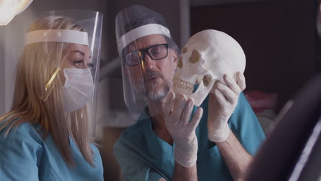 medical professionals studying human skull