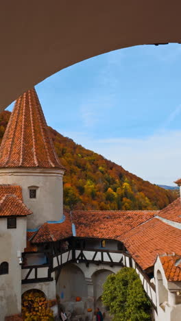 view of the old bran castle in romania from top. scenery of historic building on beautiful autumn season. vertical video
