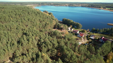 vista aérea del bosque arbolado con edificios cerca de la costa del lago witoczno
