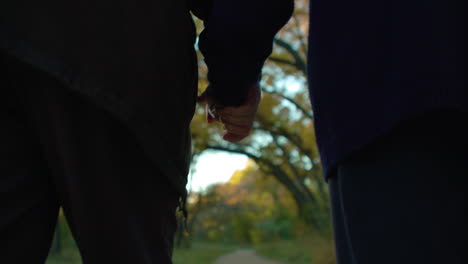 Pareja-De-Ancianos-Caminando-Tomados-De-La-Mano-Al-Atardecer-En-El-Otoño