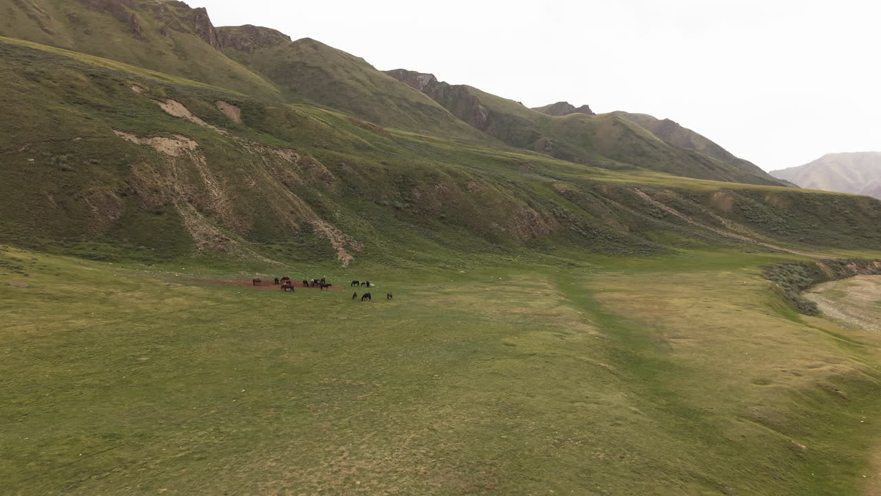 Glacial River Winding Through Mountain Landscape In The Ala-Archa National Park In Kyrgyzstan. Aerial Drone Shot
