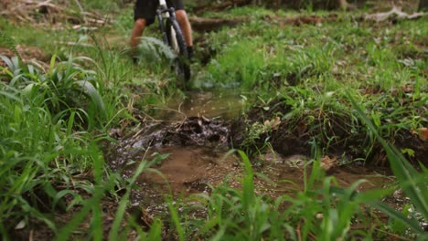 male mountain biker riding in the forest