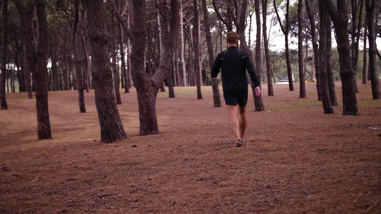 Man walking lonely alone with Pine Tree Forest Surrounding Him