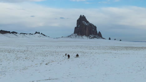 wild horses grazing in snow in front of shiprock mountain formation, new mexico, usa