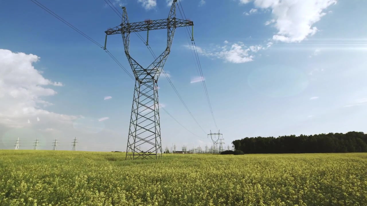 High Voltage Power Lines Standing in a Yellow Rapeseed Field