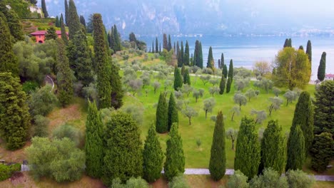 cypresses of bellagio_beautiful lake como pano