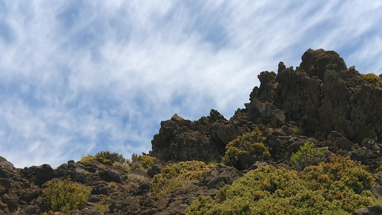 Aspre formazioni rocciose vulcaniche e vegetazione alpina autoctona nel Parco Nazionale di Haleakalā, Maui, Hawaii, Stati Uniti. Inquadratura statica diurna di ambientazione